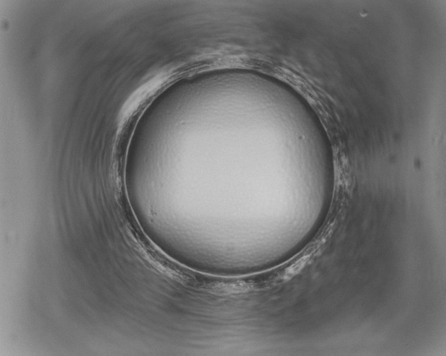 X0000078830245200611271304