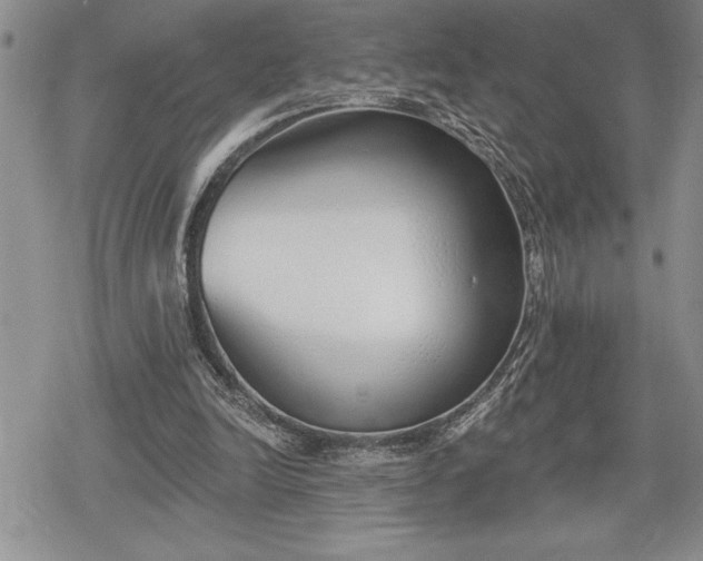 X0000078830246200611271304