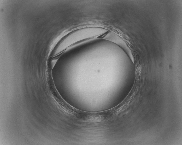 X0000078830248200611271304