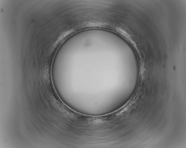 X0000078830249200611271304