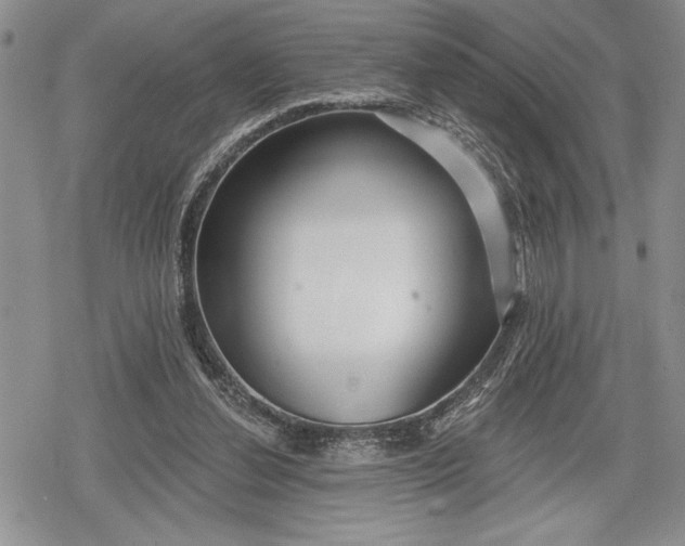 X0000078830252200611271304