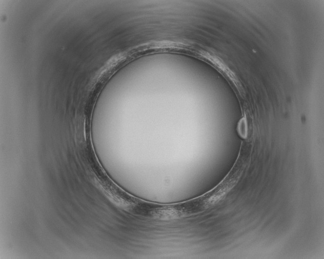 X0000078830253200611271304