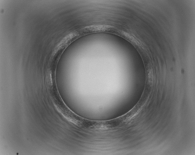 X0000078830254200611271304