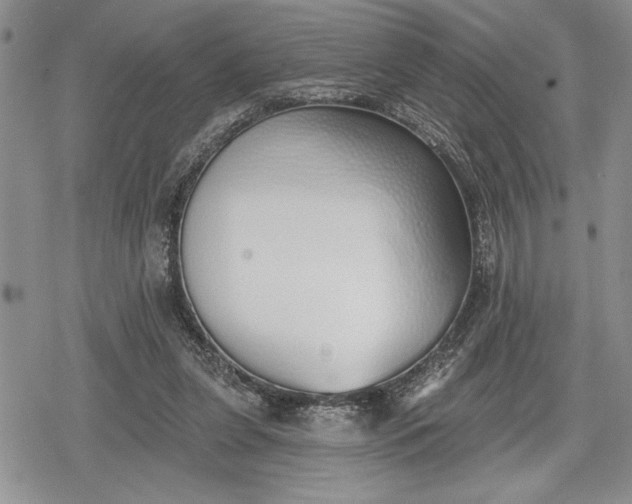 X0000078830255200611271304