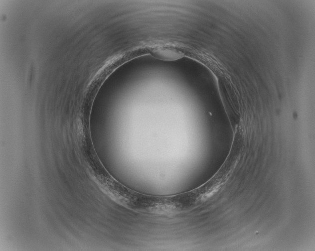 X0000078830256200611271304