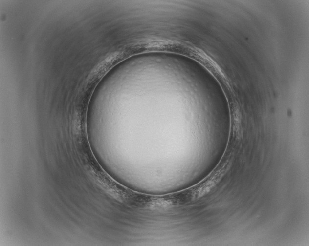 X0000078830257200611271304