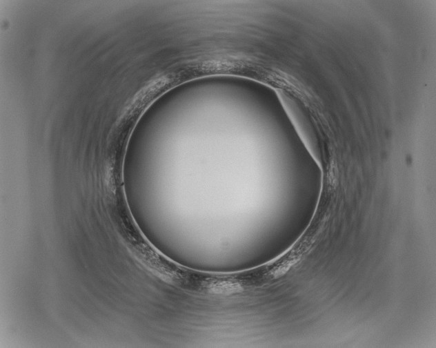 X0000078830258200611271304