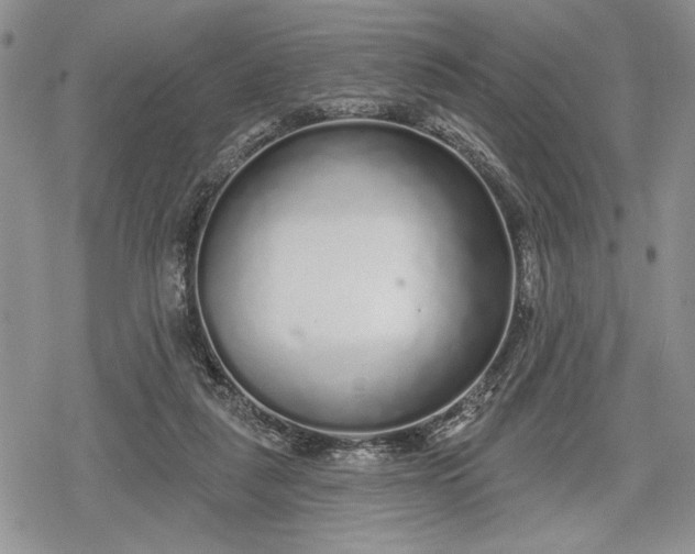 X0000078830259200611271304