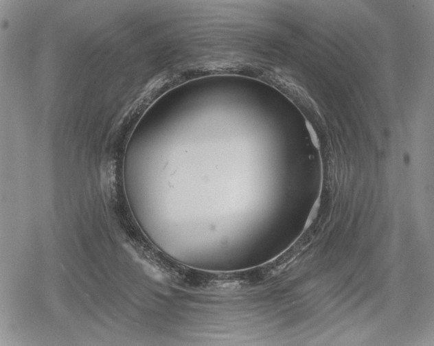 X0000078830260200611271304