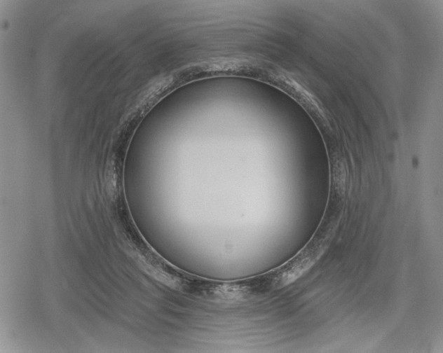 X0000078830261200611271304