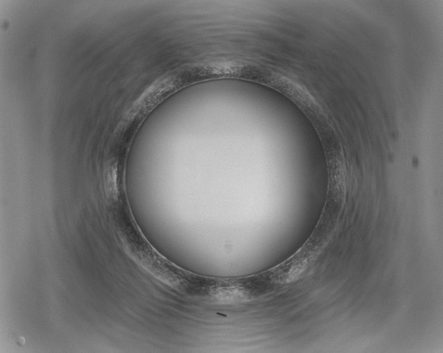 X0000078830262200611271304