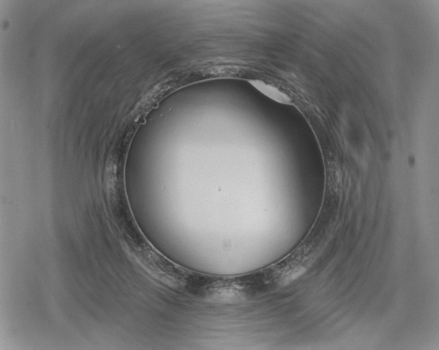 X0000078830263200611271304