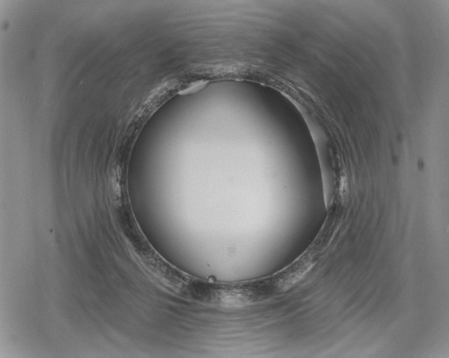 X0000078830264200611271304