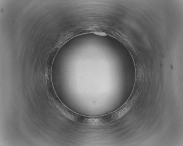 X0000078830265200611271304