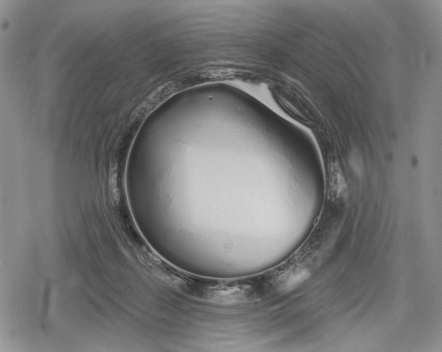 X0000078830267200611271304