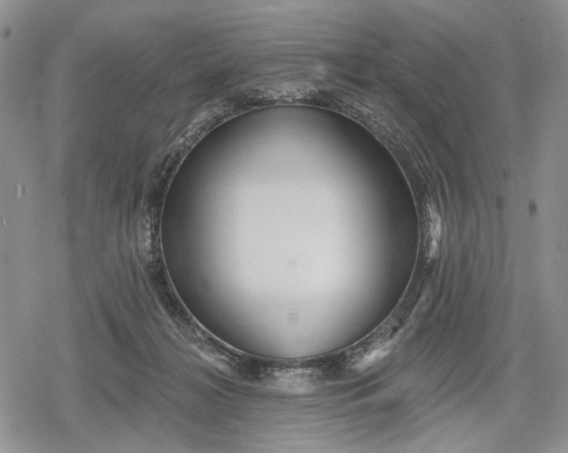 X0000078830268200611271304