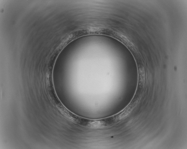 X0000078830269200611271304