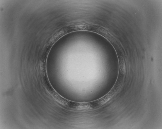 X0000078830270200611271304