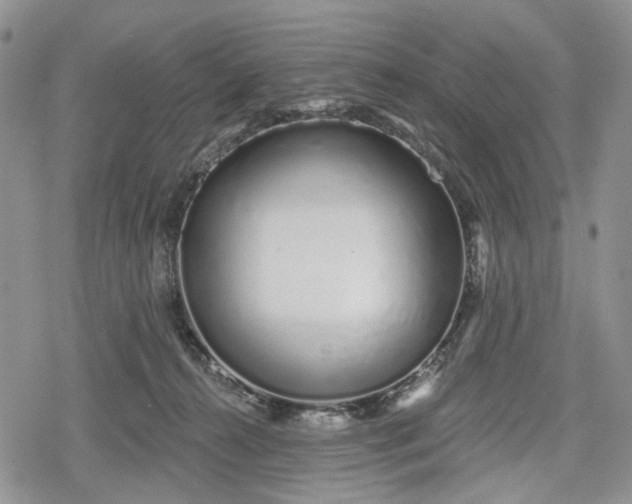 X0000078830272200611271304