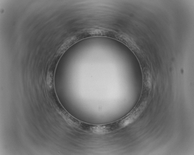 X0000078830273200611271304