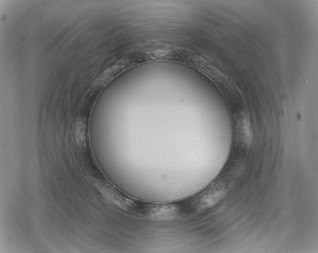 X0000078830274200611271304