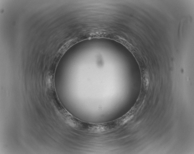 X0000078830276200611271304