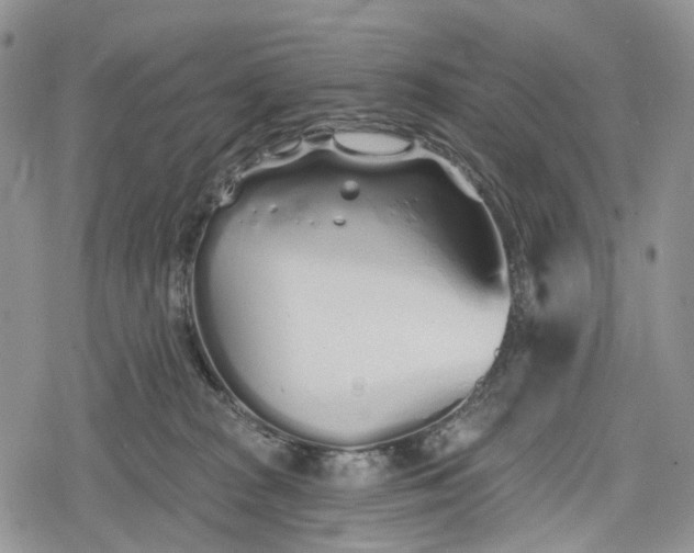 X0000078830277200611271304