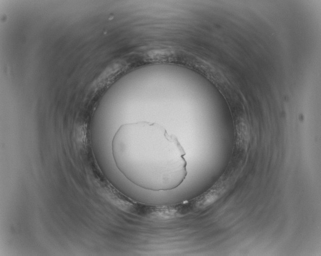 X0000078830278200611271304