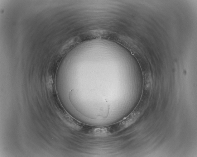 X0000078830279200611271304