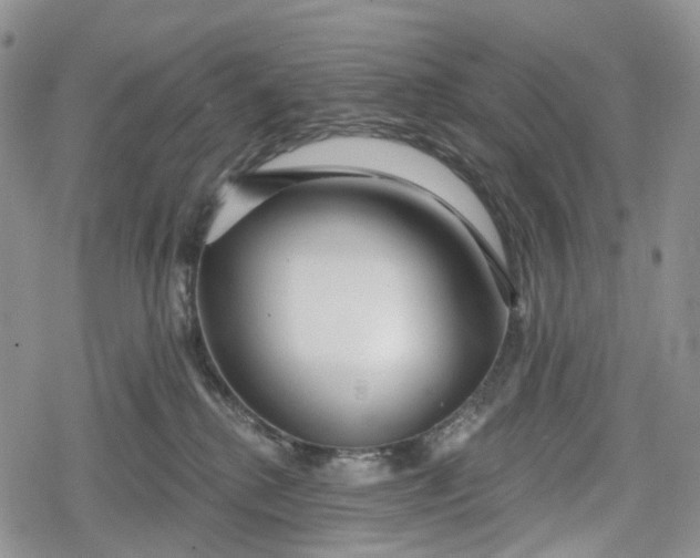 X0000078830280200611271304