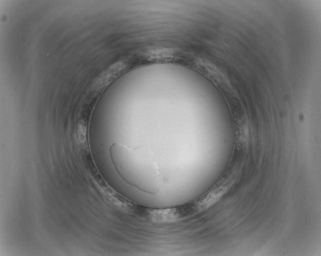 X0000078830281200611271304