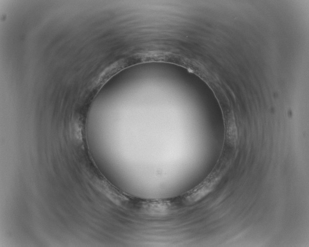 X0000078830282200611271304