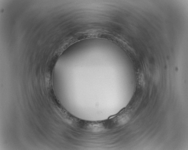 X0000078830283200611271304