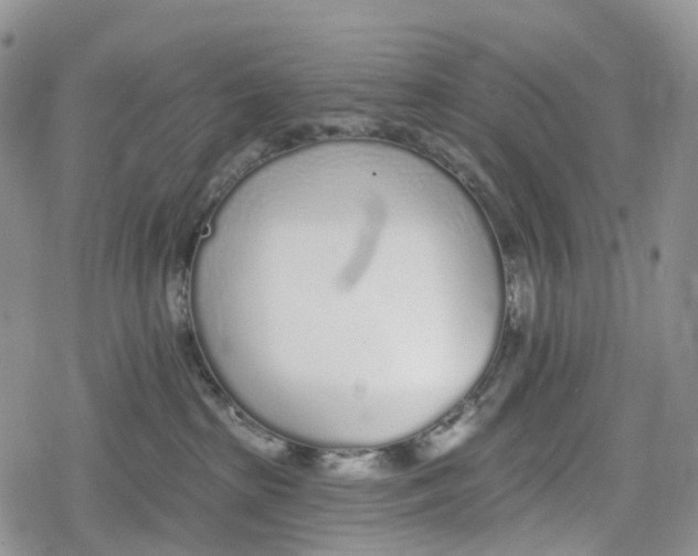 X0000078830285200611271305