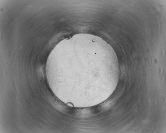 X0000078830286200611271305