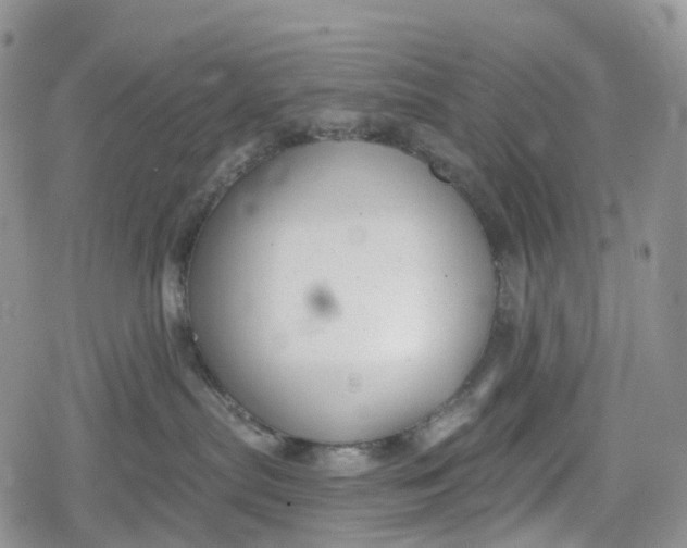 X0000078830287200611271305