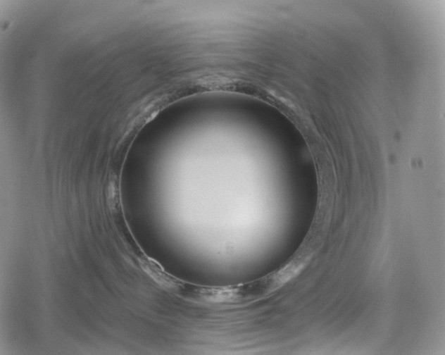 X0000078830288200611271305