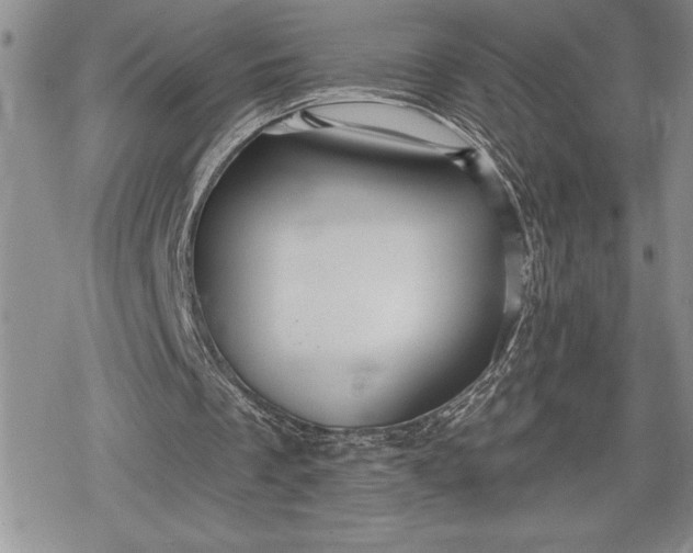 X0000078830289200611271304