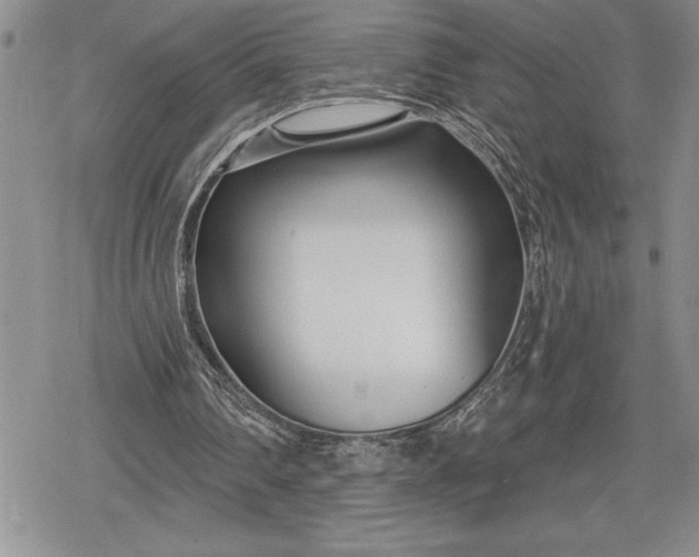 X0000078830290200611271304