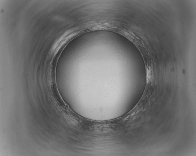 X0000078830291200611271304