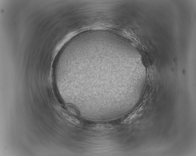 X0000078830292200611271304