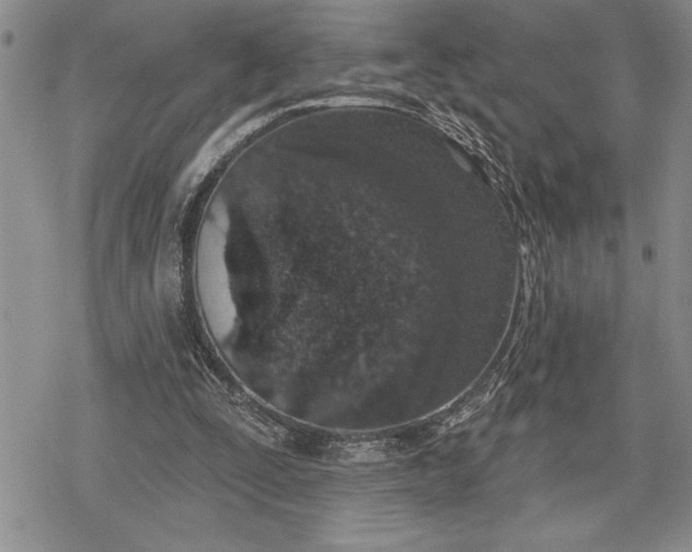 X0000078830295200611271304