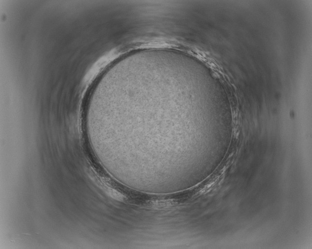 X0000078830296200611271304