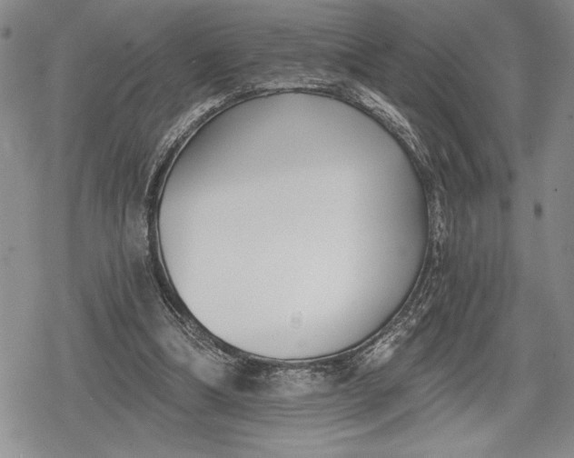 X0000078830298200611271304