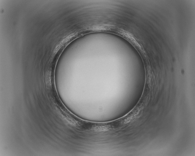 X0000078830299200611271304