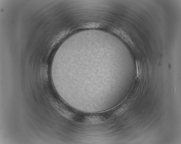 X0000078830300200611271304