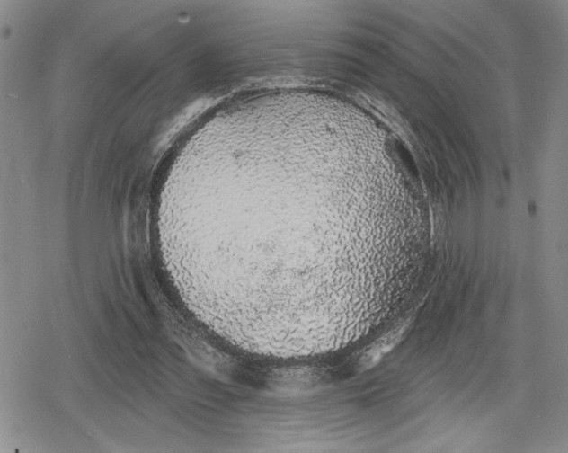 X0000078830301200611271304