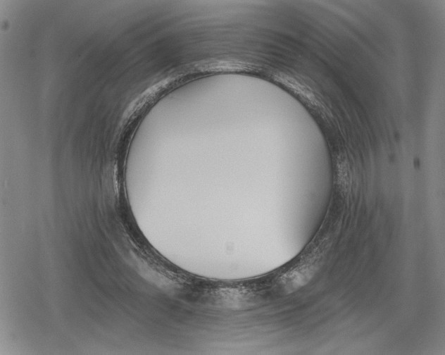 X0000078830302200611271304