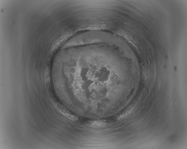 X0000078830303200611271304