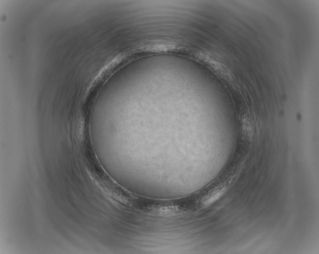 X0000078830304200611271304